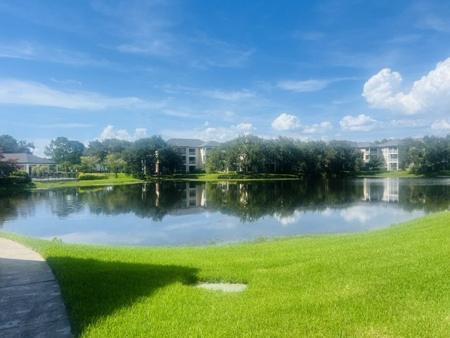 4107 CHATHAM OAK UNIT 312, TAMPA FL 33624 property image