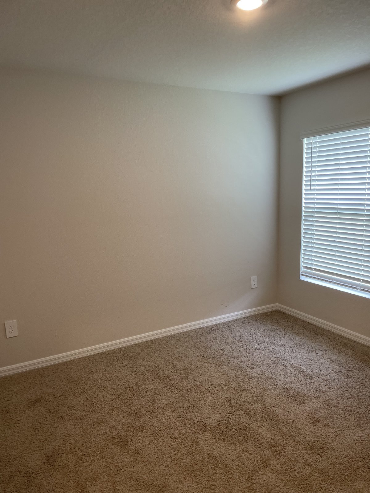 New 3/2/2 In Oakfield Lakes property image