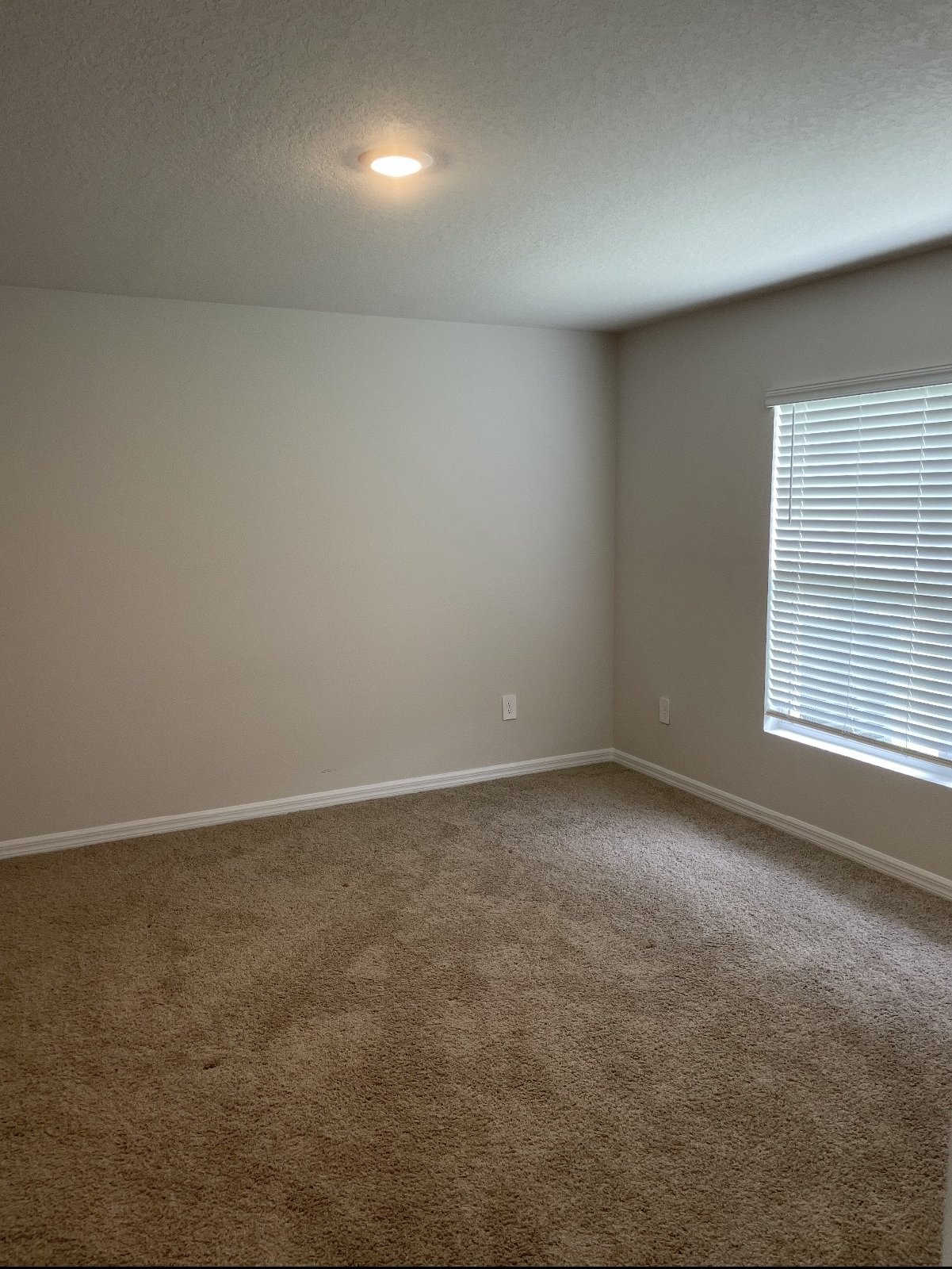 New 3/2/2 In Oakfield Lakes property image
