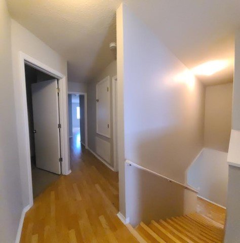 4 Bed/ 2.5 Bath Pond View Home In Tampa property image