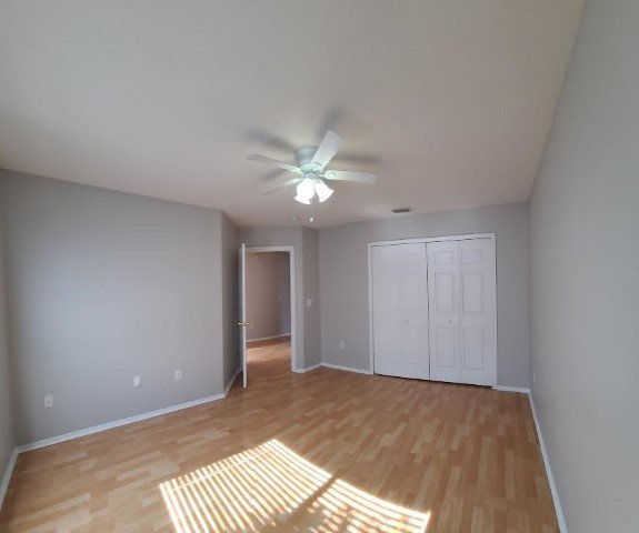4 Bed/ 2.5 Bath Pond View Home In Tampa property image