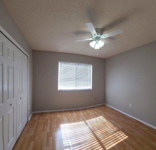 4 Bed/ 2.5 Bath Pond View Home In Tampa property image