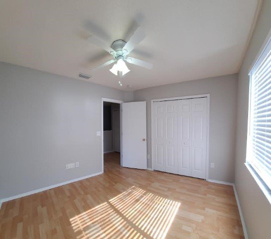 4 Bed/ 2.5 Bath Pond View Home In Tampa property image
