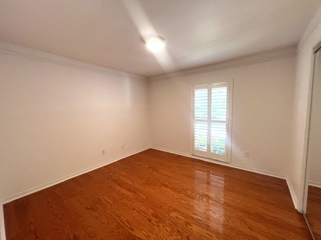 AMAZING CARROLLWOOD  HOME READY FOR MOVE IN! property image