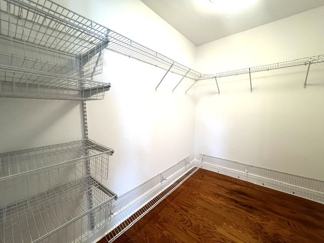 AMAZING CARROLLWOOD  HOME READY FOR MOVE IN! property image