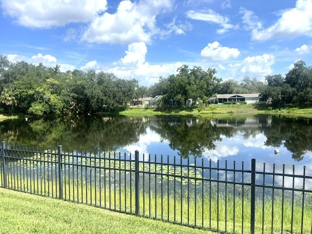 AMAZING CARROLLWOOD  HOME READY FOR MOVE IN! property image