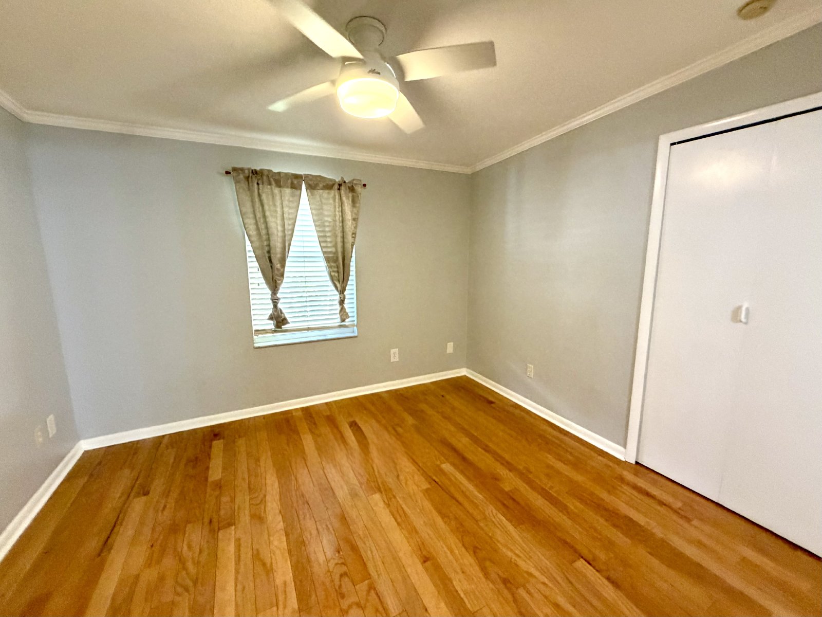 Two bedroom home for rent in North St Petersburg property image