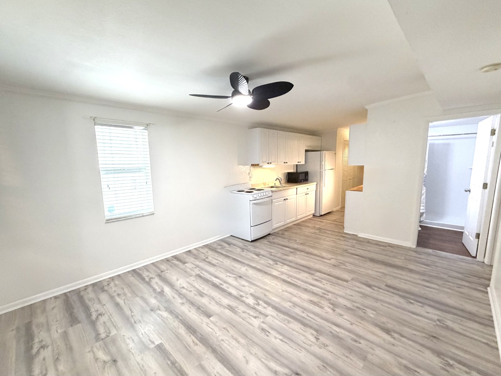 Two bedroom home for rent in North St Petersburg property image