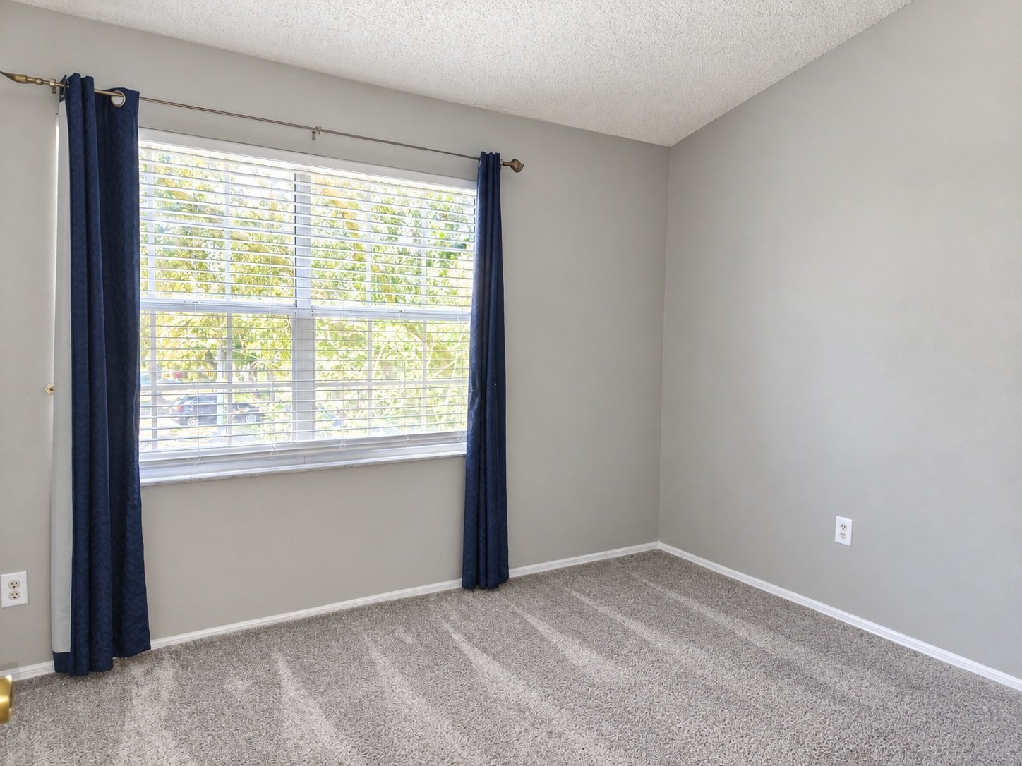 Immaculate 2 Bedroom 1.5 Bath Townhome In New Tampa! property image