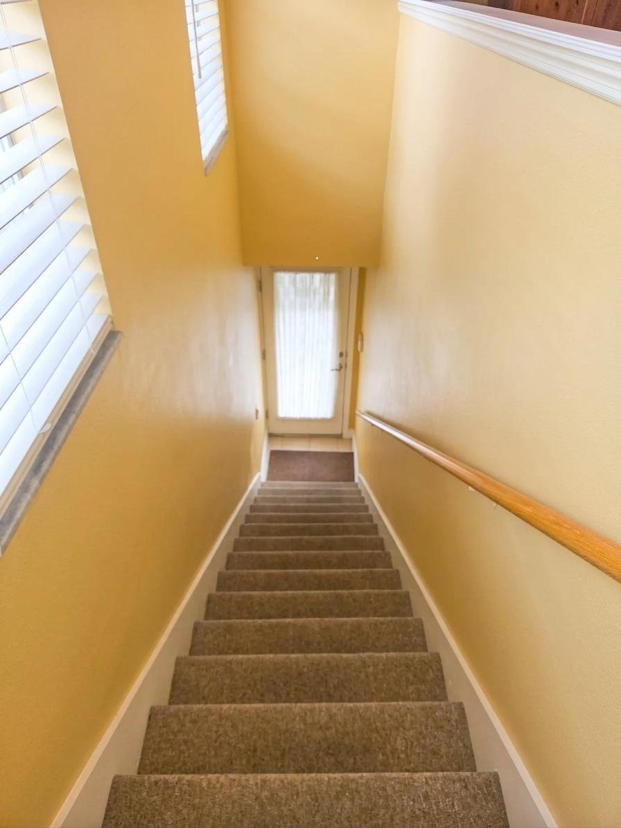 WESTCHASE Area - Furnished Loft / Utilities Included! property image