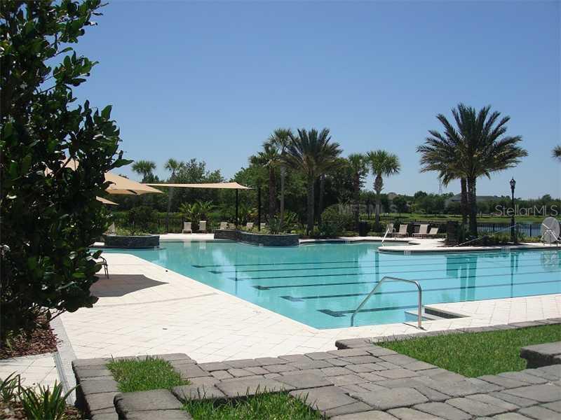 WESTCHASE Area - Furnished Loft / Utilities Included! property image