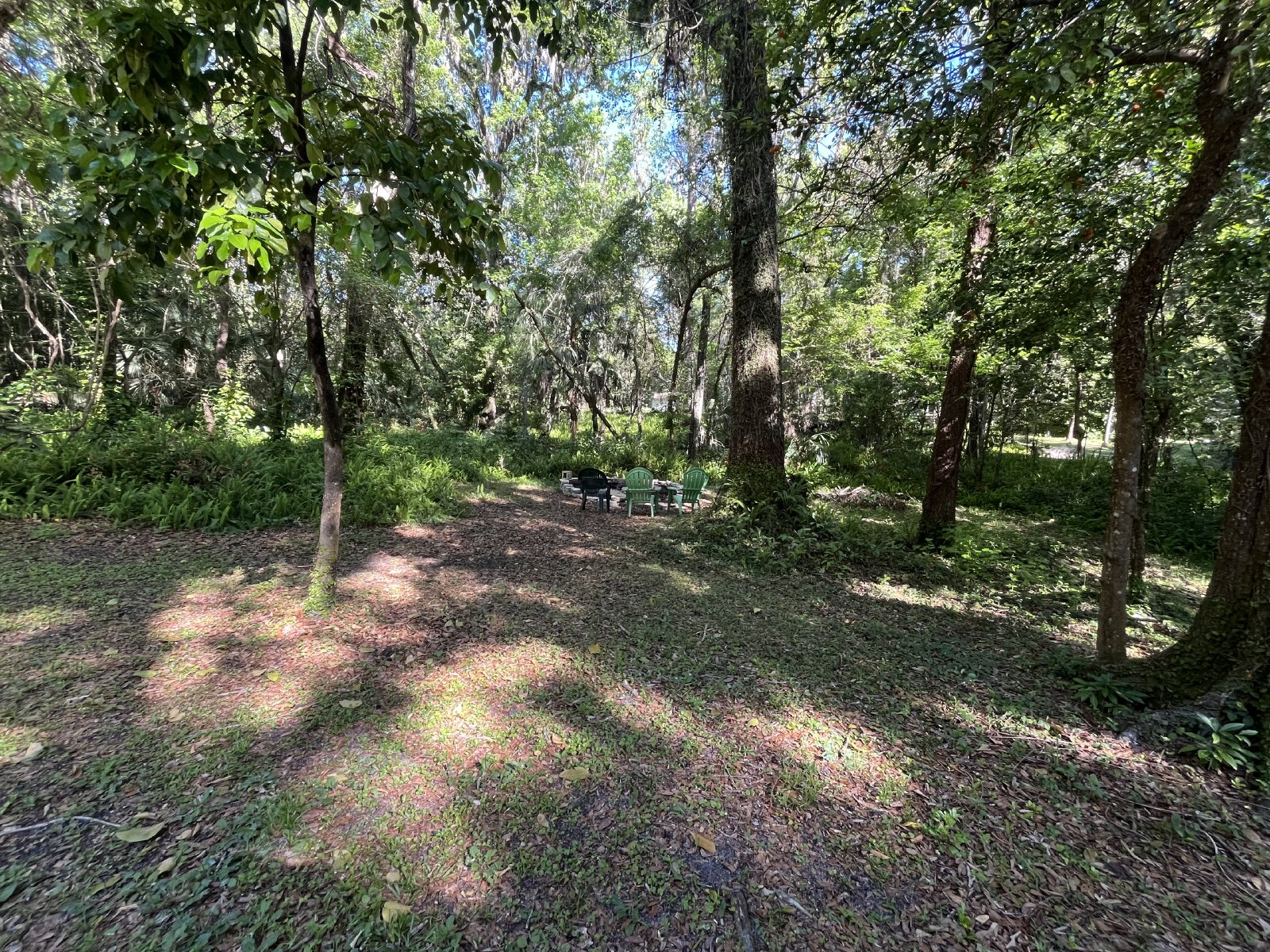 3/2 On 1.5 Acres property image