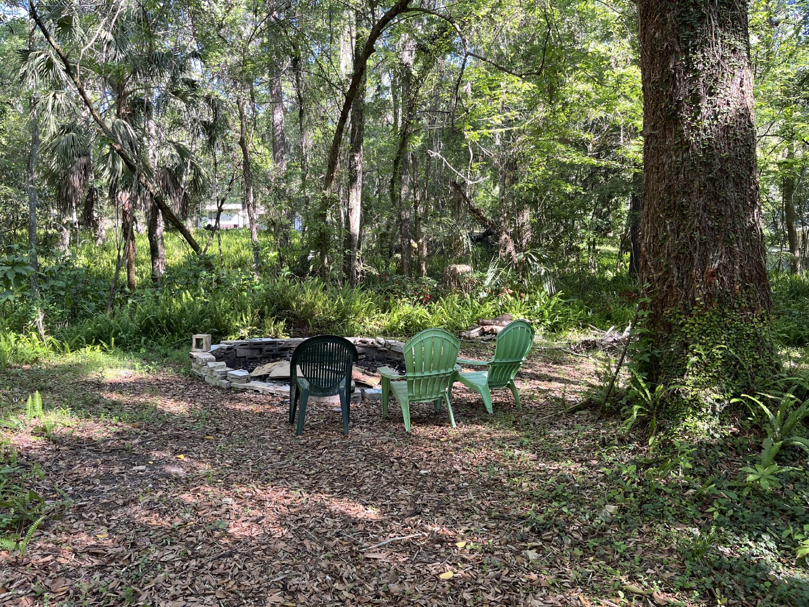 3/2 On 1.5 Acres property image