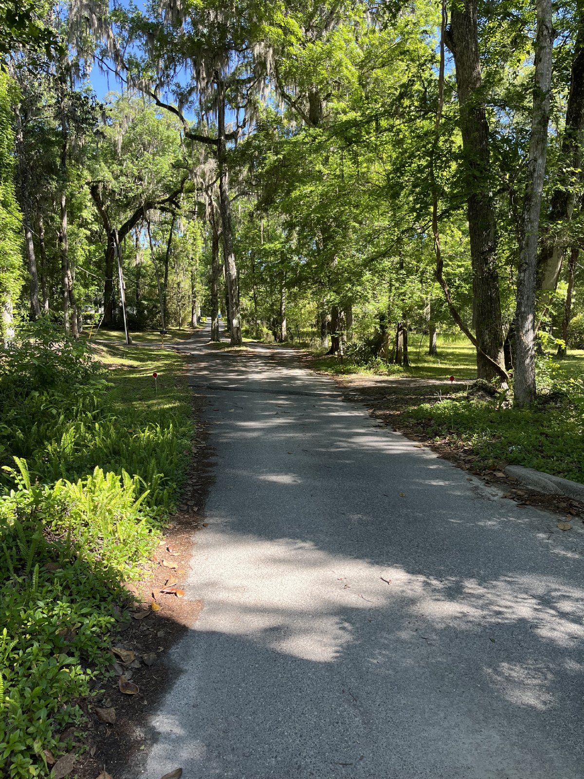 3/2 On 1.5 Acres property image