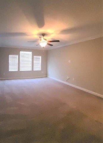 Four Bedroom/2.5 Bath In Union Park property image