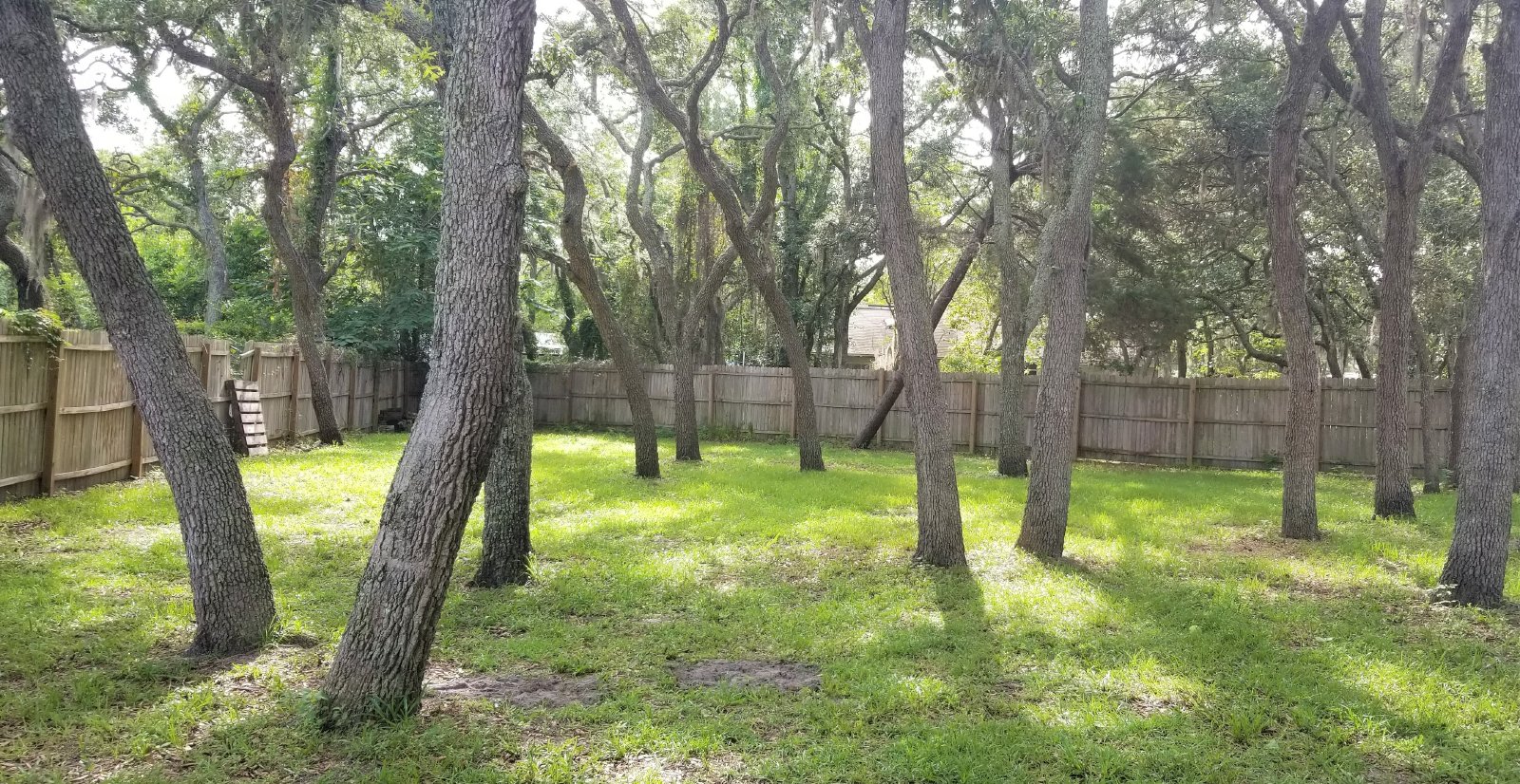 3/2/1 Located In Spring Hill! property image