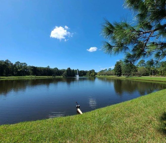 Beautiful Townhome In The Heart Of Westchase! property image