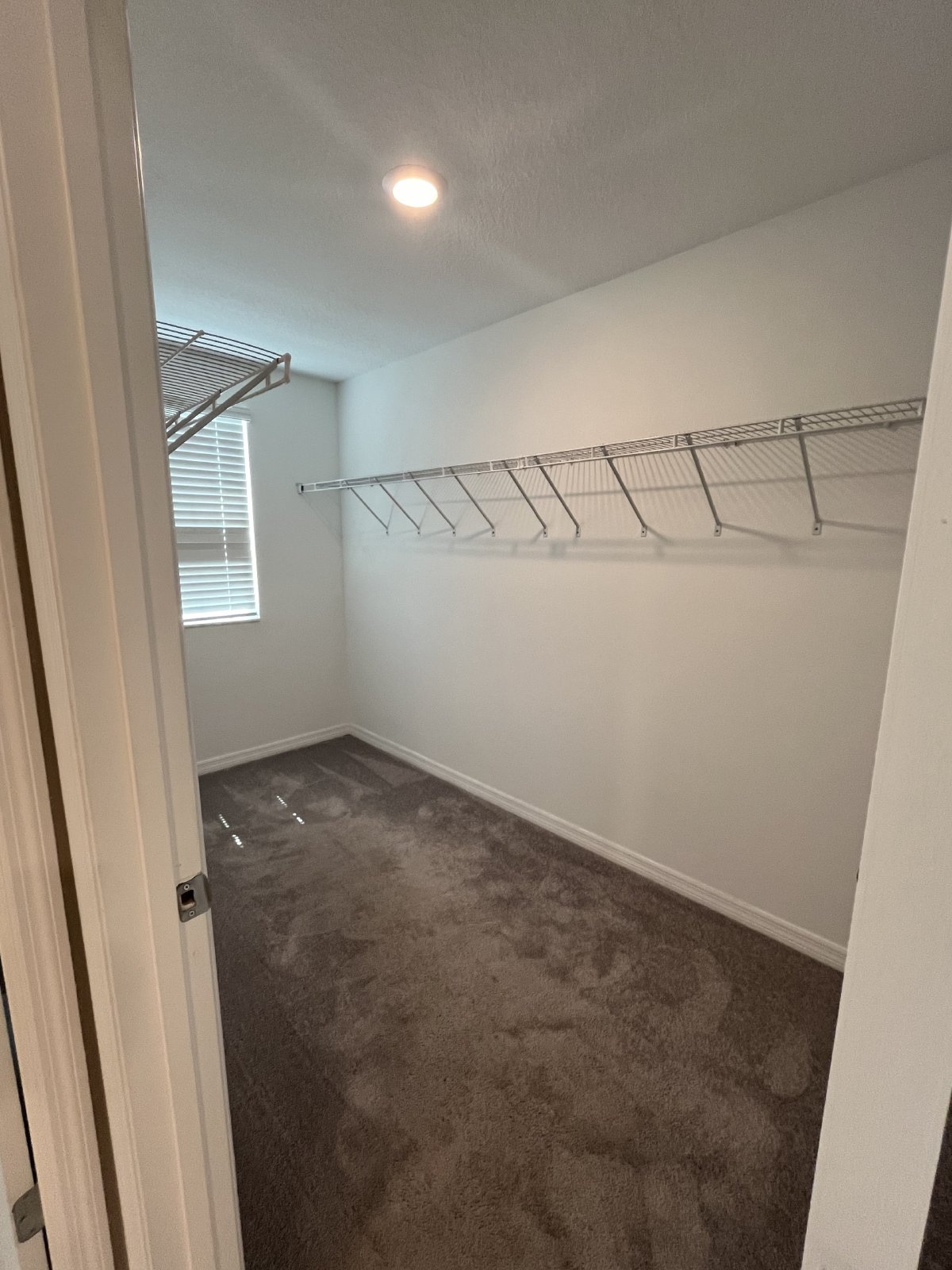 Beautiful 6/3/2 In Villages Of Avalon property image